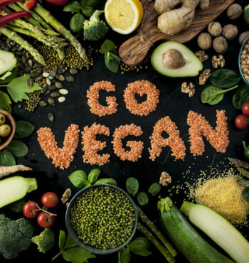 all about world vegan