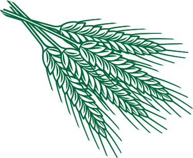 abstract-2005.png